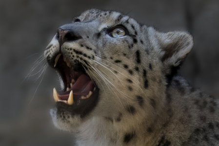 Basel Zoo