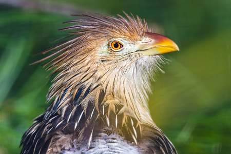 Basel Zoo