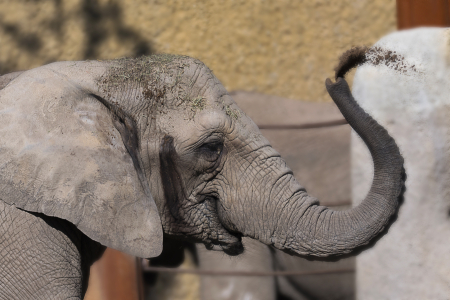 Basel Zoo